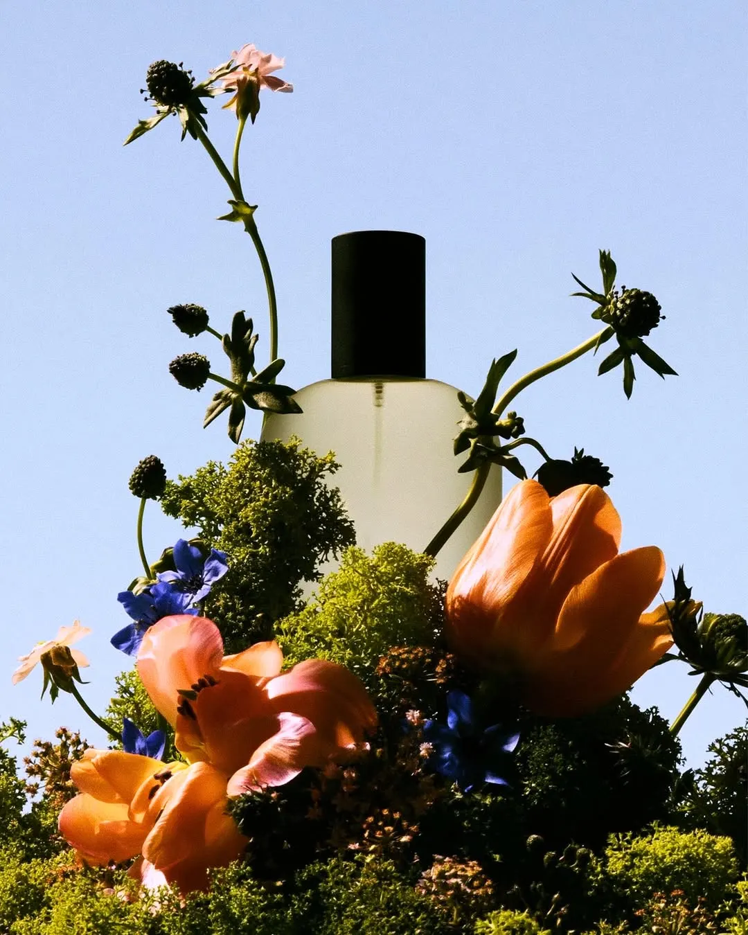 Perfume bottle standing in a small field of wildflowers